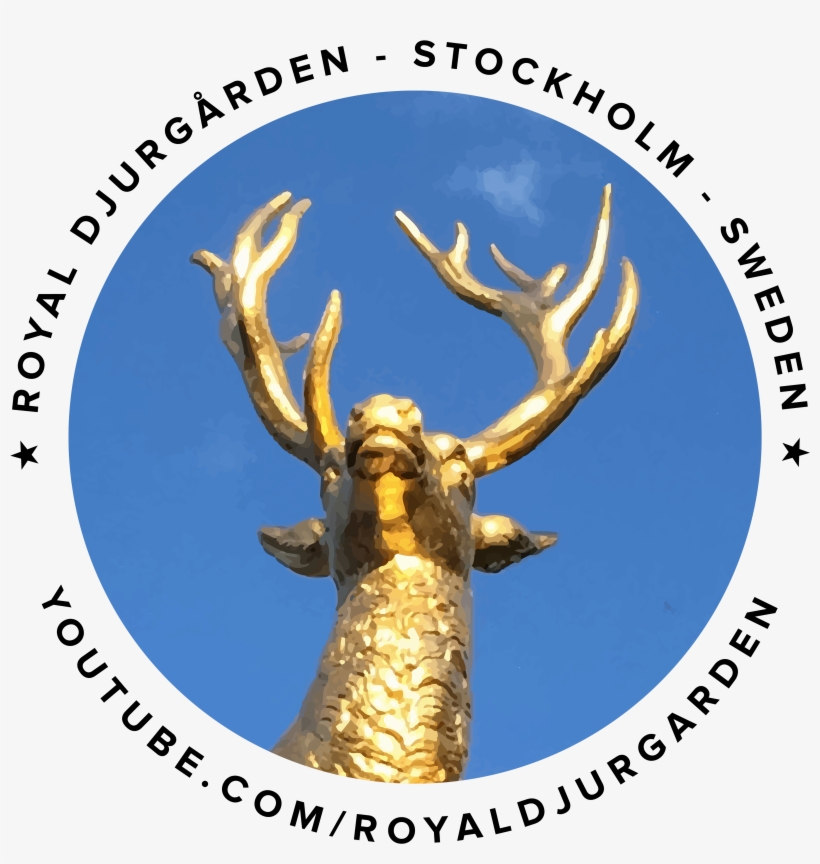 Logo Royaldjurgarden Royaldjurgården Royal Djurgården - Not Our Abilities But Our Choices, transparent png
