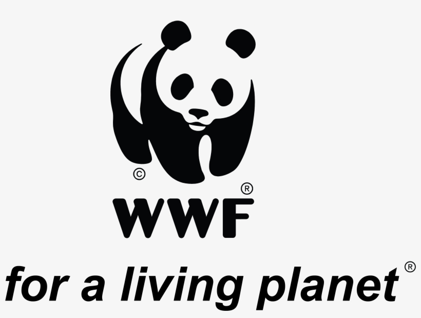 Logo N Tagline-01 - Save The Tigers Logo, transparent png