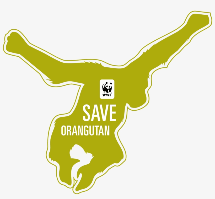Befriending Orangutan - Wwf, transparent png