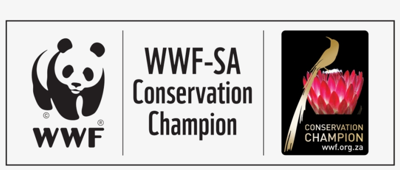Wwf Conservation Champions Logo - Wwf Congo Basin Chess, transparent png