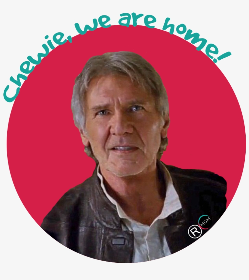 We Are Captivated, Excited, Nostalgic Or Frustrated - Star Wars Rogue One Harrison Ford, transparent png