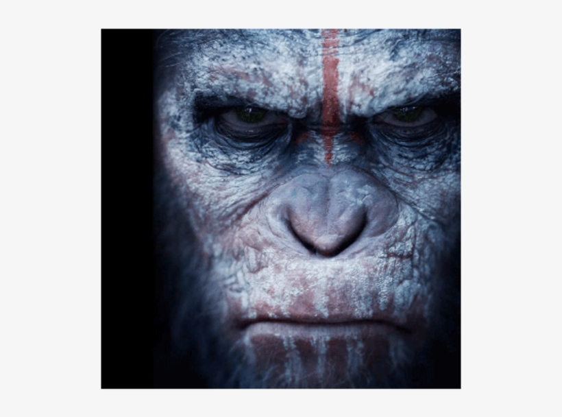 Smartphone And Pc Strategy Title Plague Inc Has Nabbed - Planet Of The Apes Caesar T Shirt, transparent png