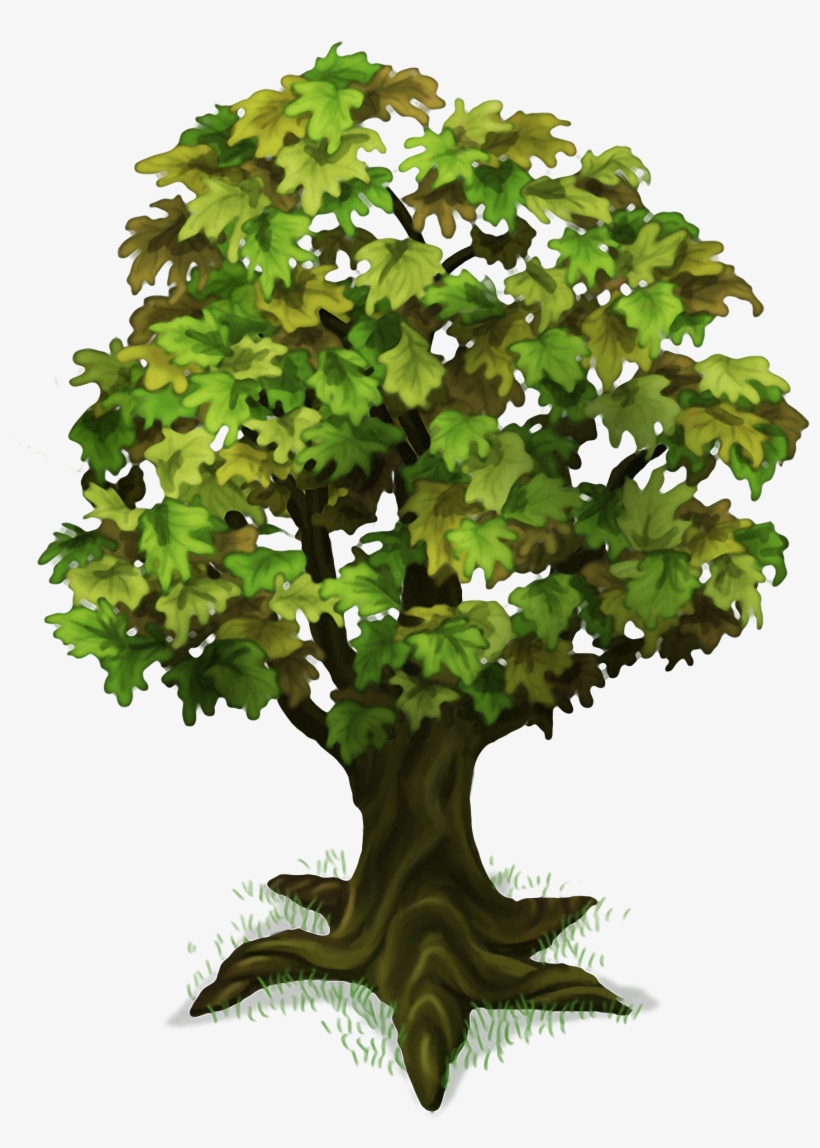 Plant Island Medium Tree - Tree, transparent png