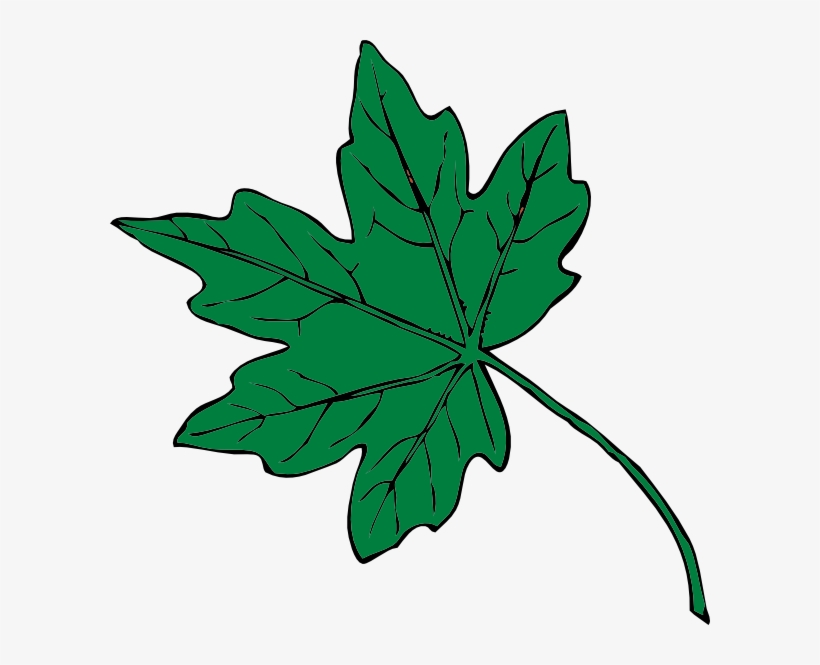 How To Set Use Mid Green Maple Leaf Icon Png, transparent png