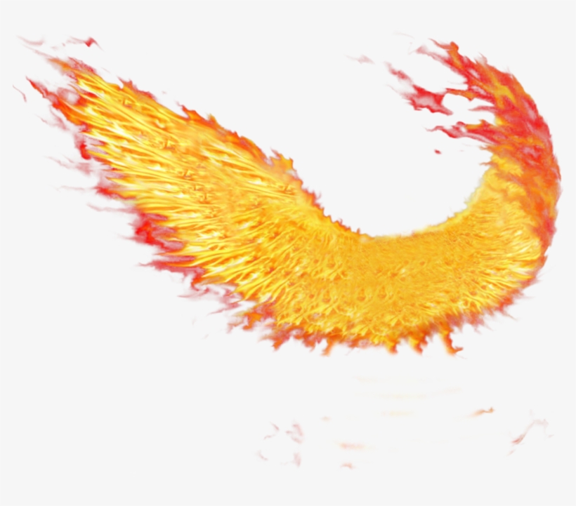 Fire Wings - Wings On Fire Png, transparent png
