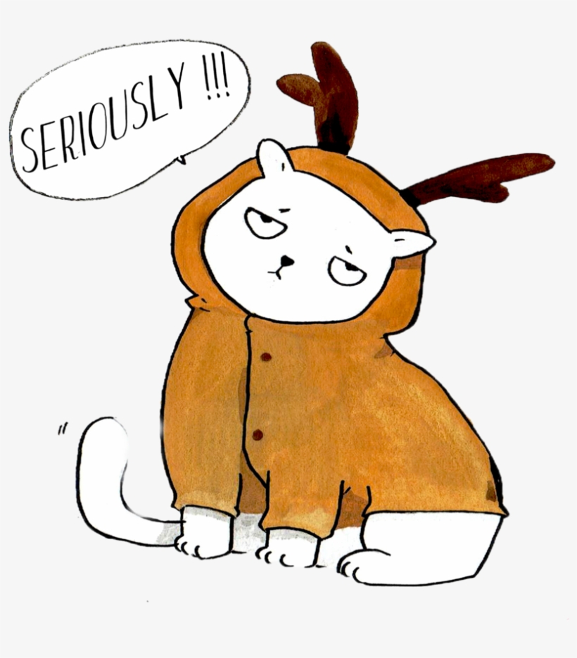 Angry Cat - Cartoon, transparent png