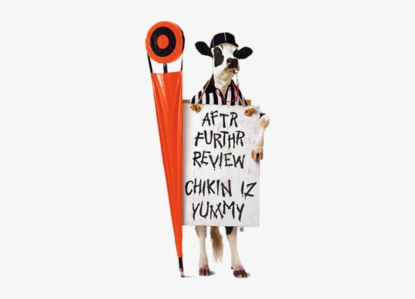 Chick Fil A's Political Views - Chick Fil A Cow Funny, transparent png