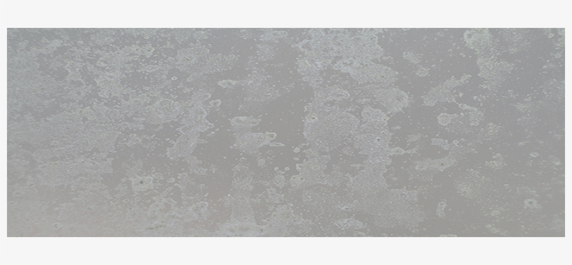 Abandoned In The Forest Freeuse Library - Dirty Glass Texture Transparent, transparent png