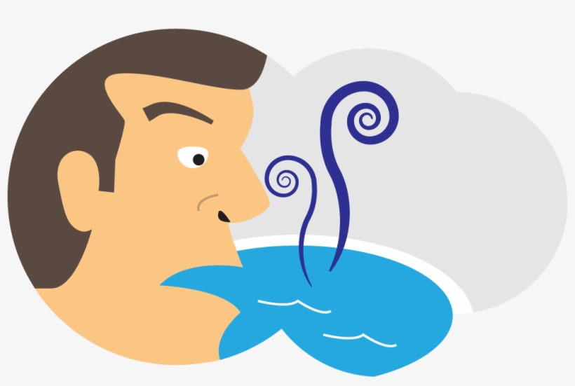 Pool Water Chemistry Lesson - Water, transparent png