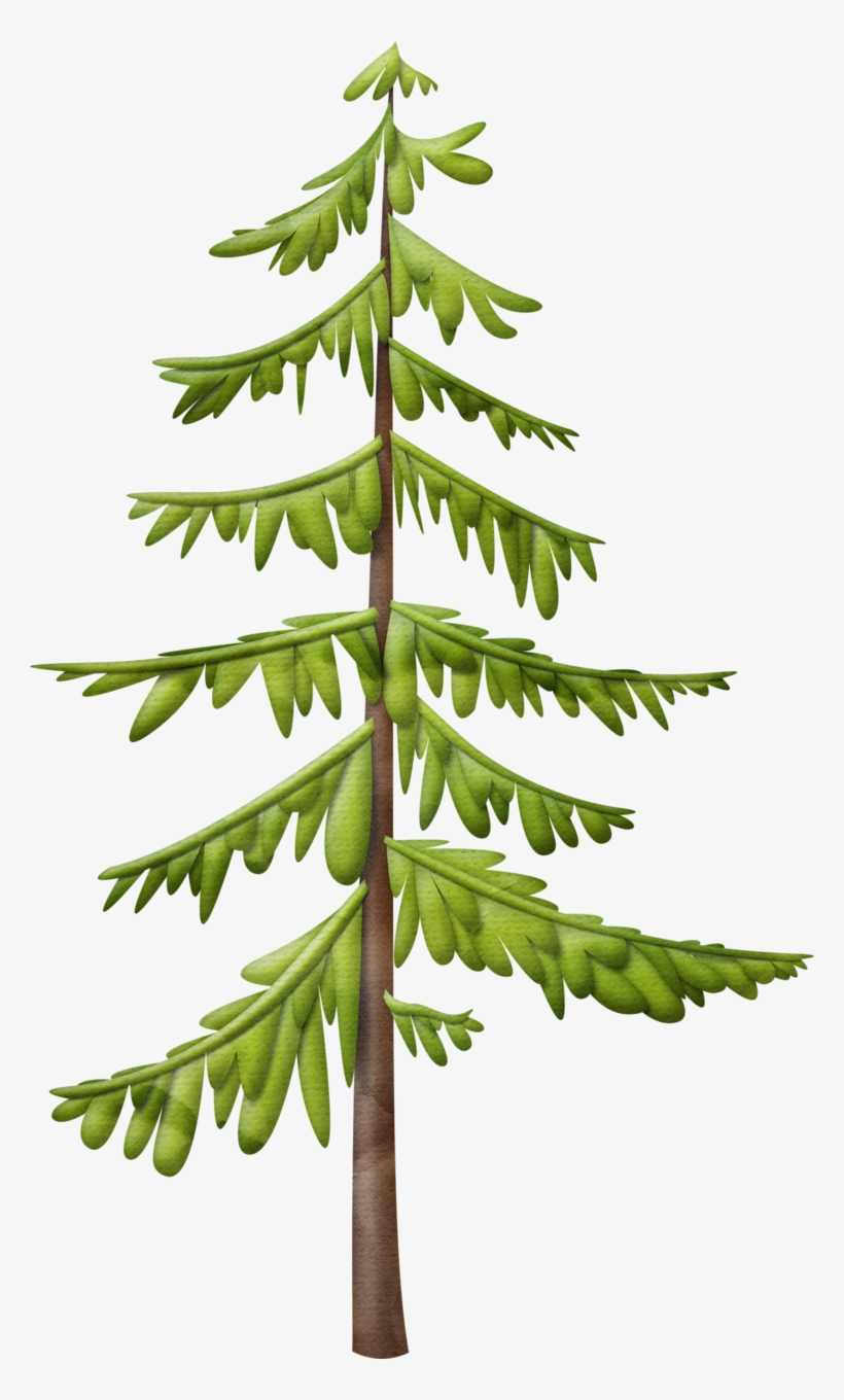 Trees ‿✿⁀°••○ - Christmas Day, transparent png