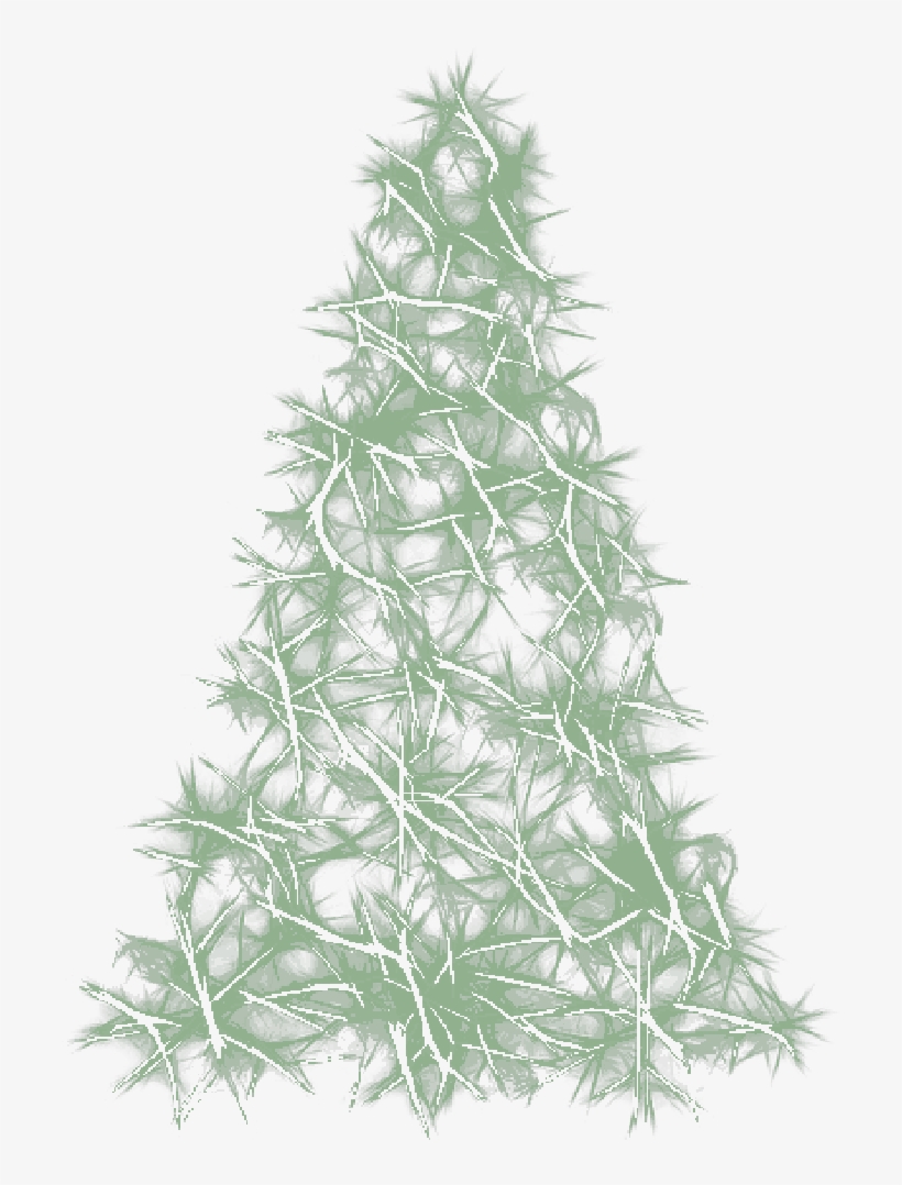 Mb Image/png - Pine, transparent png