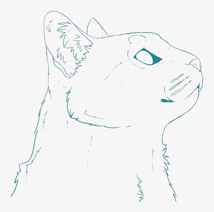 Cat Head Teal Facing Right - Animal Jam Clans, transparent png