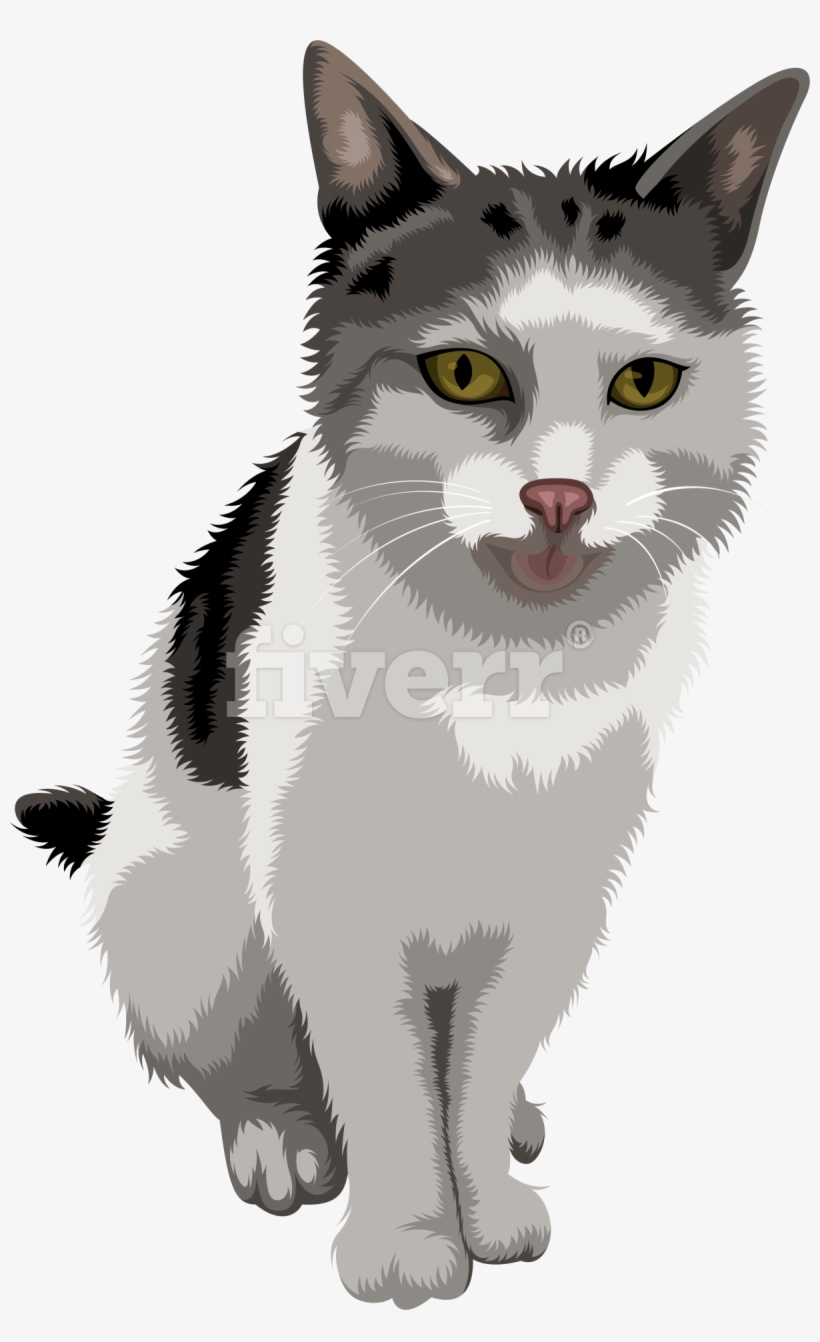 Kitten, transparent png