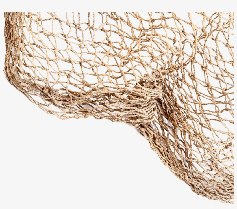 Summer Never - Net, transparent png