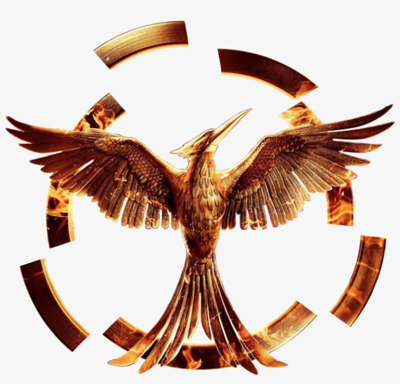 Hunger Games Png, transparent png