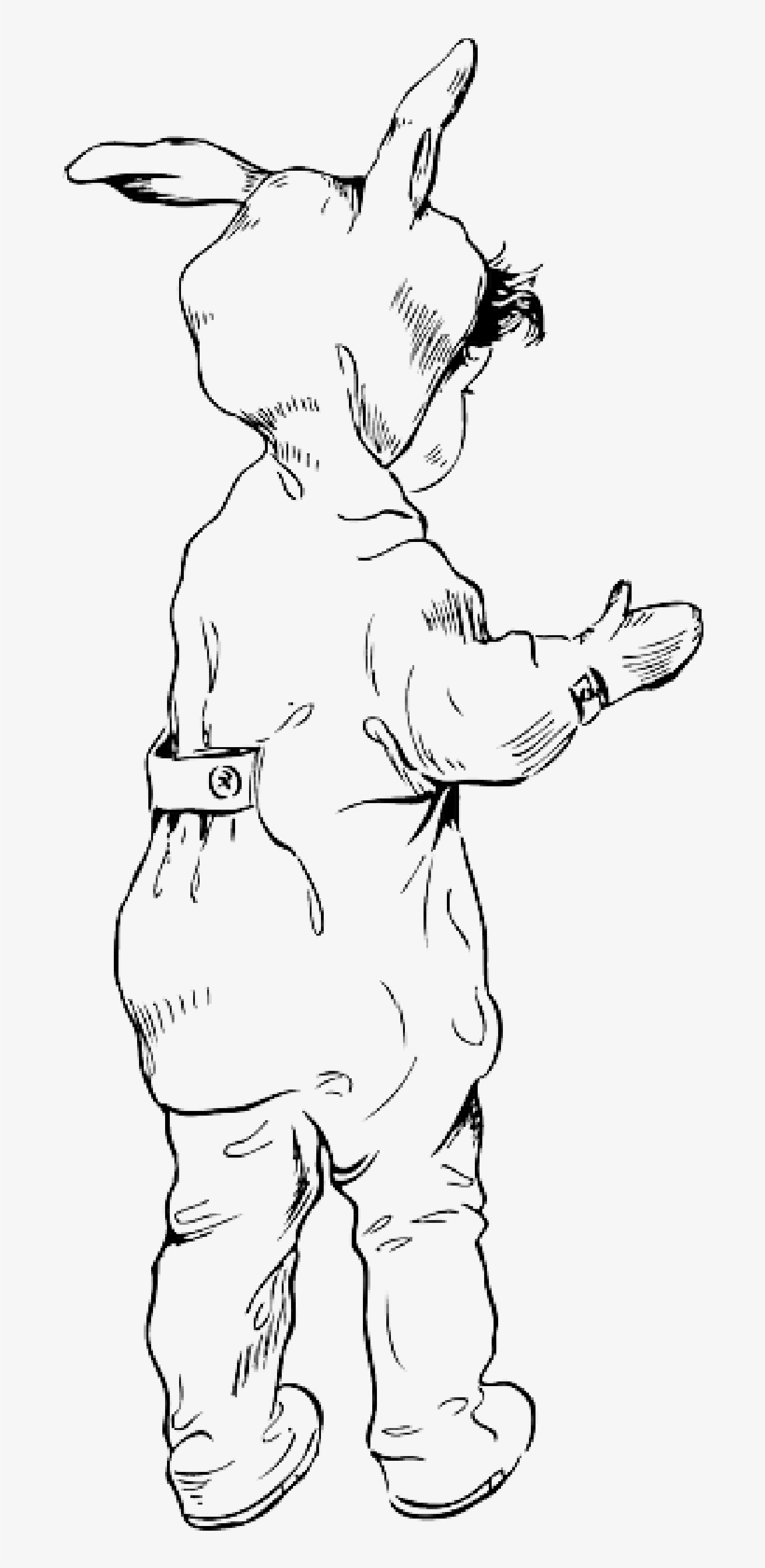 Mb Image/png - Rabbit, transparent png