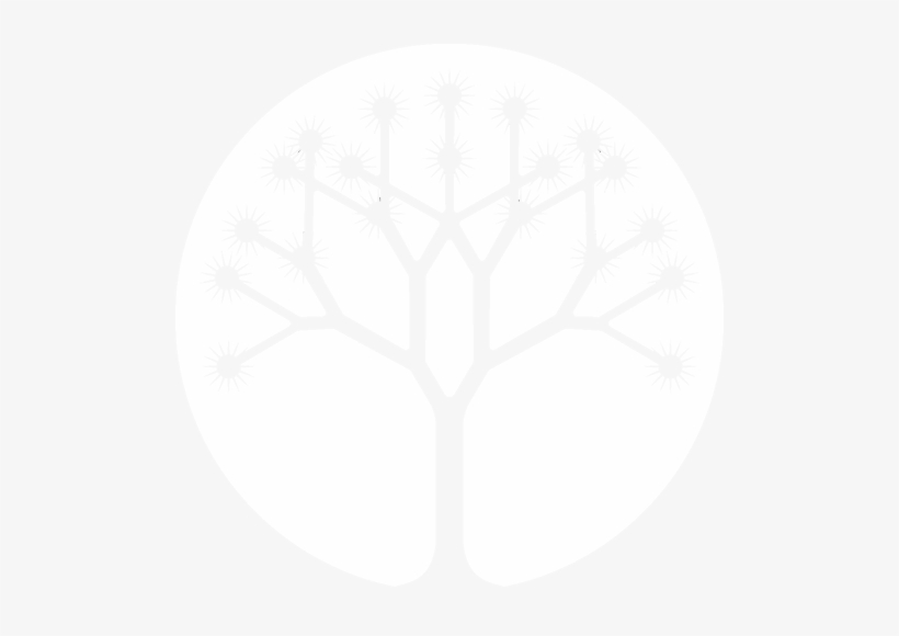 28 Collection Of Joshua Tree Line Drawing - Easy Dead Tree Drawing, transparent png