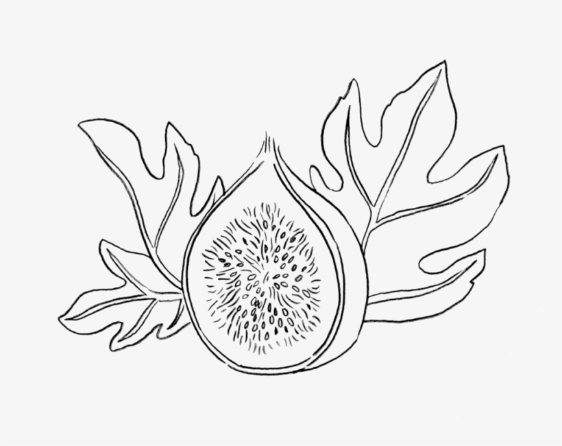 Syd's Fig Tattoo, transparent png