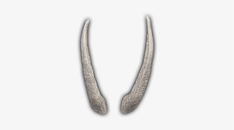 Svg Black And White Library Dragon Horns Png - Dragon Horns, transparent png