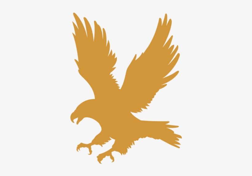 King Bless Footer Logo - King Eagle, transparent png