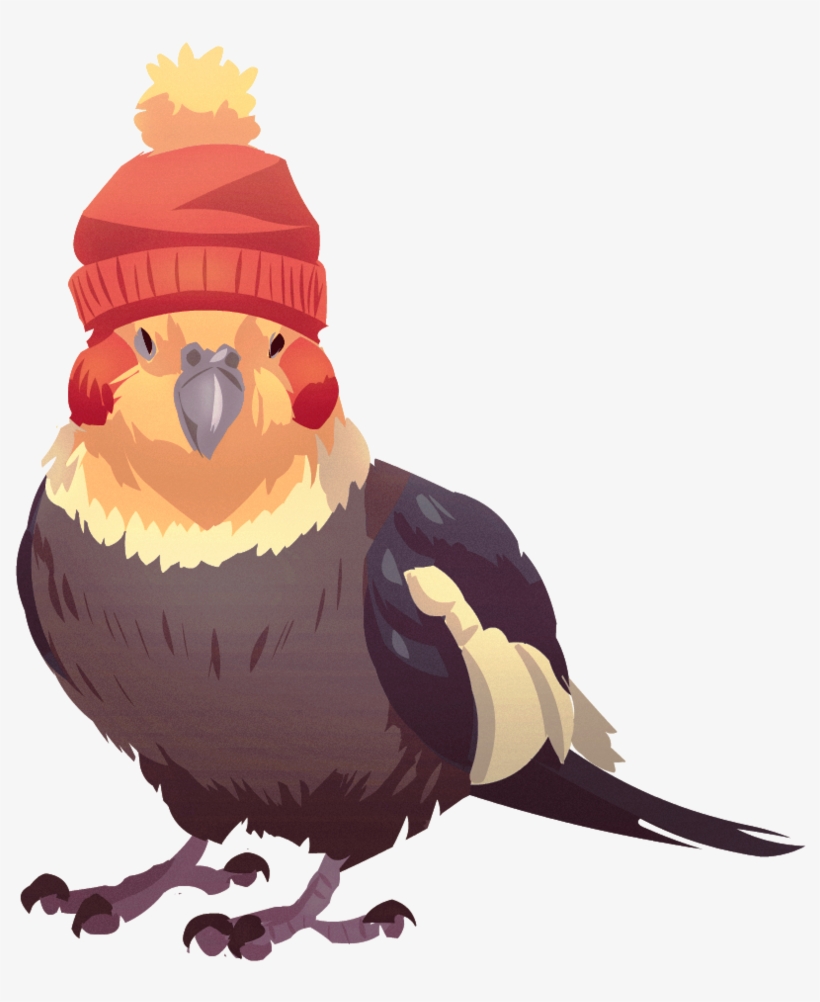 Tielhat By Shalmons On Deviantart Clipart Royalty Free - Cockatiel Drawing, transparent png