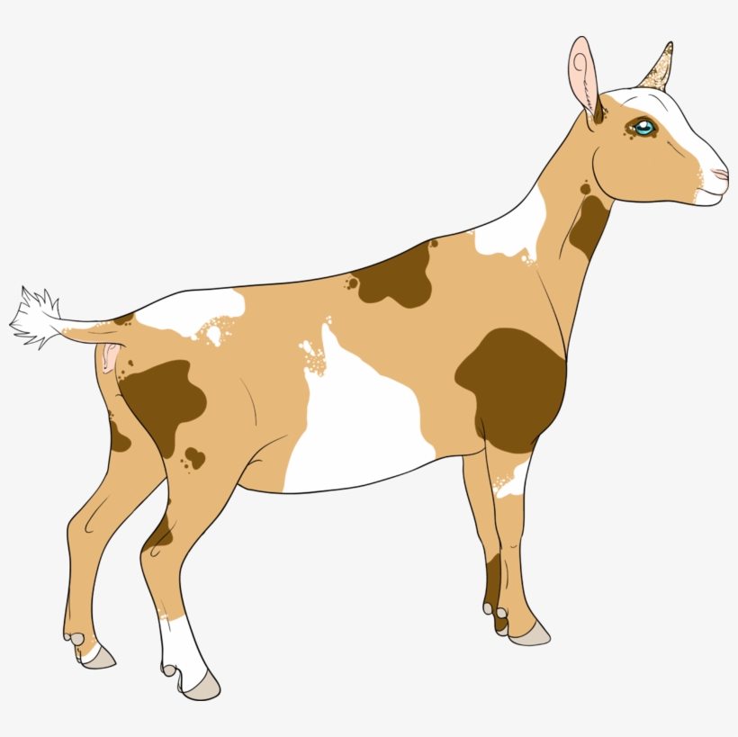 Goat Horns Png For Kids - Nigerian Dwarf Goat Clipart, transparent png