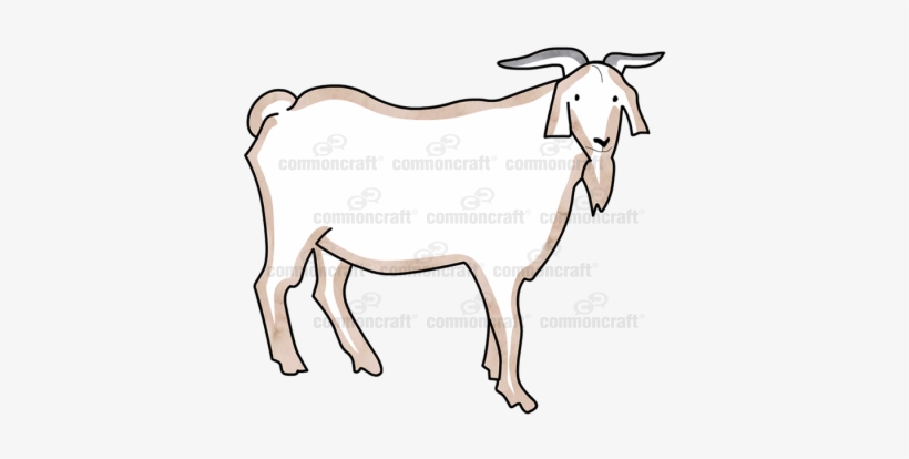 Goat Horns Beard - Goat, transparent png