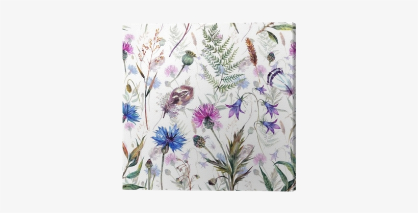 Hand Drawn Watercolor Wildflowers Canvas Print • Pixers® - Centaurea Cyanus Polka Dot Series, transparent png