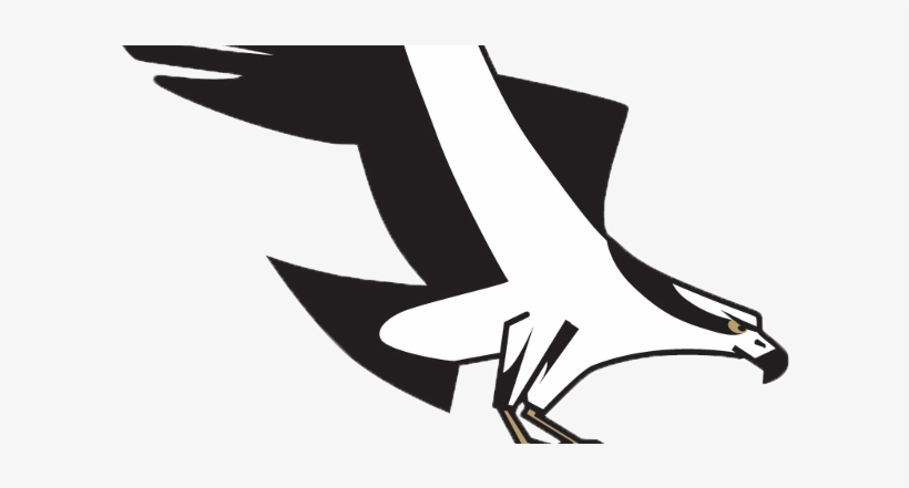 Osprey And Mustangs Postponed Friday Due To Field Conditions - Missoula Osprey, transparent png
