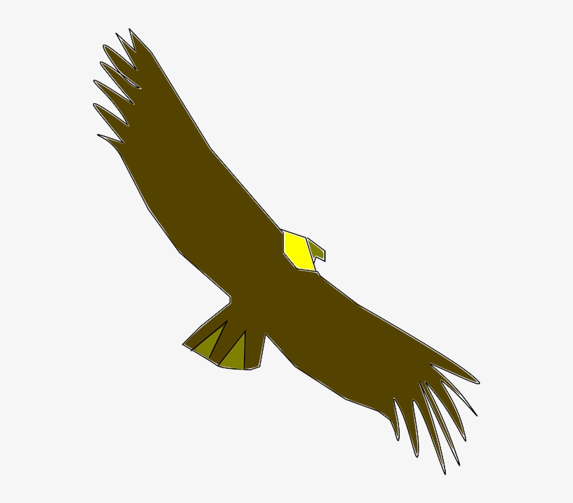 Vulture, Scavenger, Wildlife, Animal, Bird, Wings - Condor Clip Art, transparent png