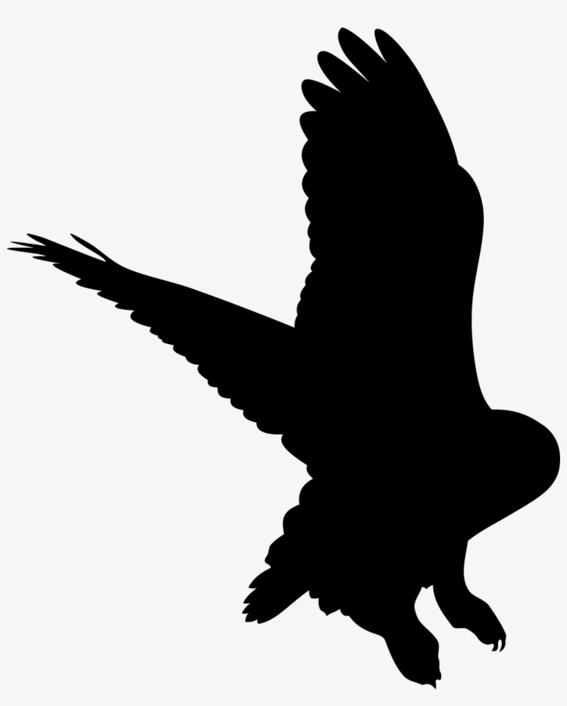 Bird Wings Pen - Bird, transparent png