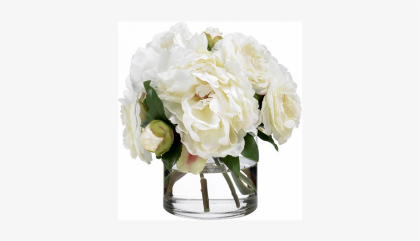 White Satiny Peonies - White Peonies In Vase, transparent png