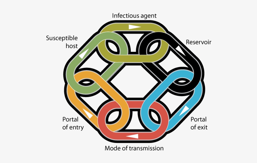 Slider Image - Chain Of Infection Uk, transparent png