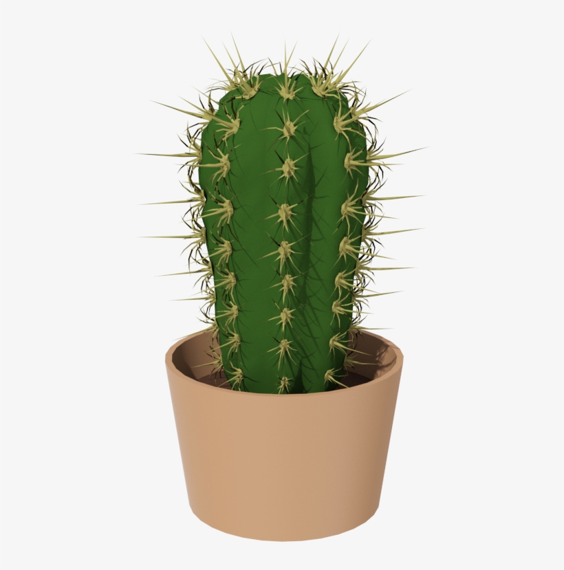 Cactus Png, transparent png