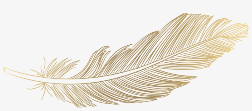 Feather Png Download Image - Password Logbook, transparent png