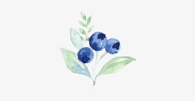 Calligraphy Blueberries, transparent png