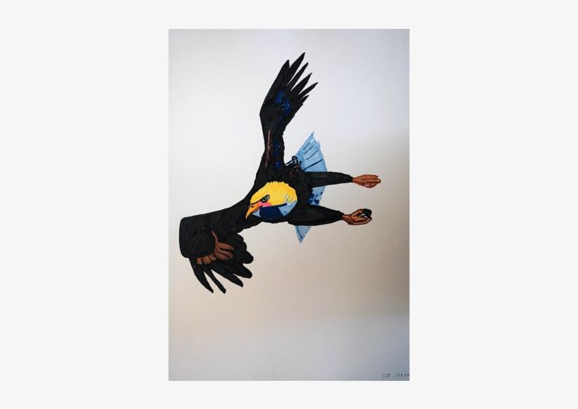 13 - Buzzard, transparent png