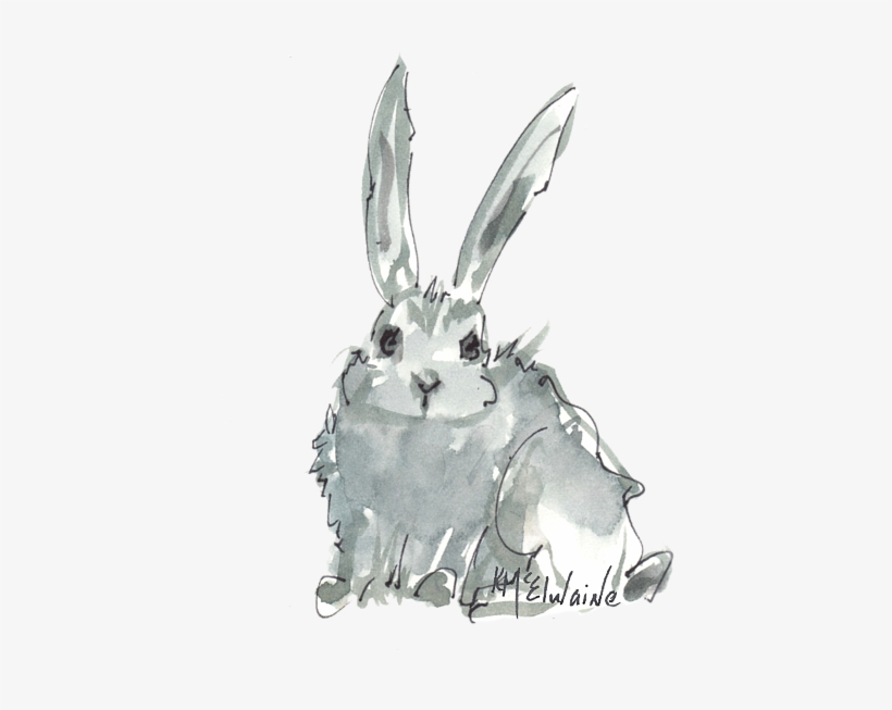 Bleed Area May Not Be Visible - Rabbit, transparent png