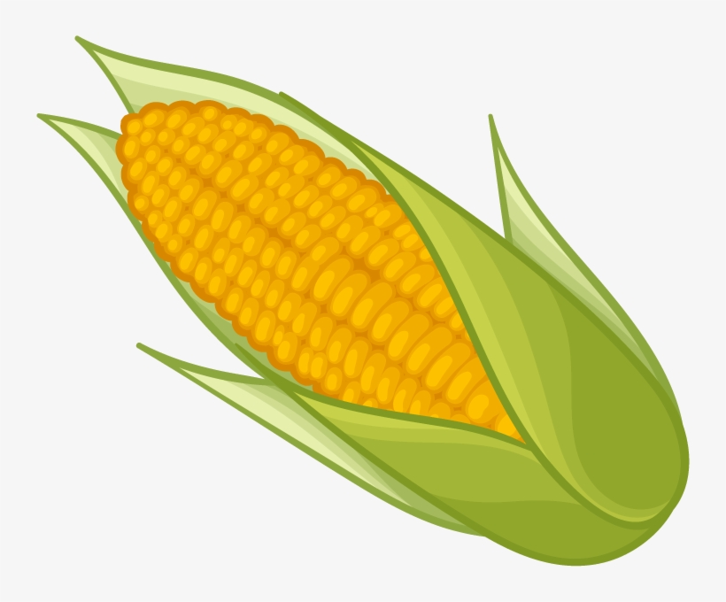 Corn Png Clipart - Clipart Corn On The Cob, transparent png