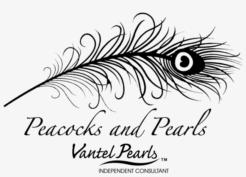 Magnificient Feather - Highest Quality Wall Decal Stickers, transparent png
