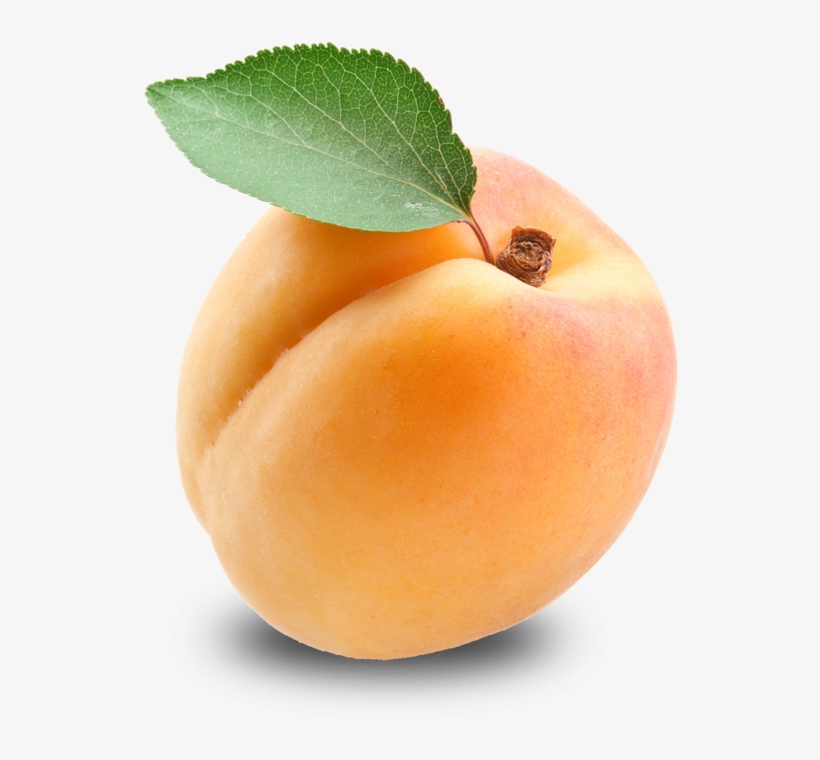 Apricot Free Download Png Hd - Apricot Png, transparent png