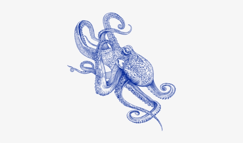 Clip Art Black And White Library Ballpen Drawings By - Octo Flow Canvas Print - Small By Rachel Caldwell, transparent png