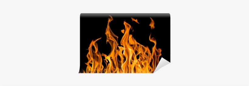 Yellow Fire Sparks Isolated On Black Wall Mural • Pixers® - Von Hexen, Vampiren Und Werwölfen, transparent png