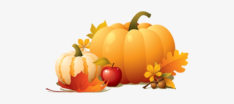 Alphagraphics Rochester - Thanksgiving Pumpkin Png, transparent png