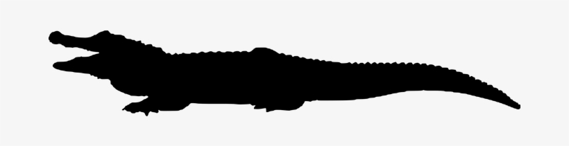 Crocodile, Animal, Silhouette - Download, transparent png