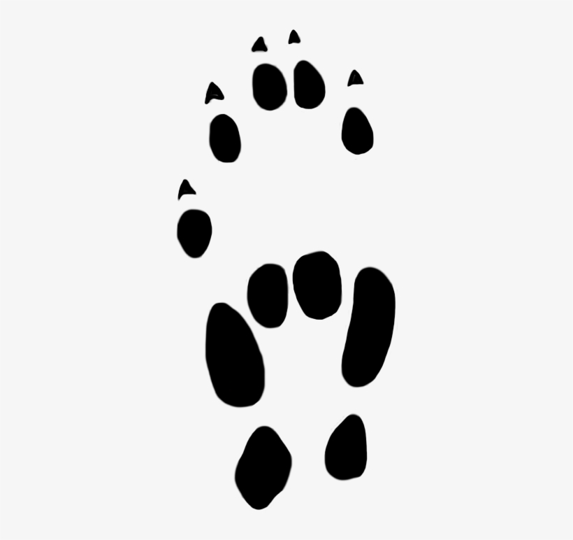 Paw Print Of House Mouse 10 Mm - Clip Art, transparent png