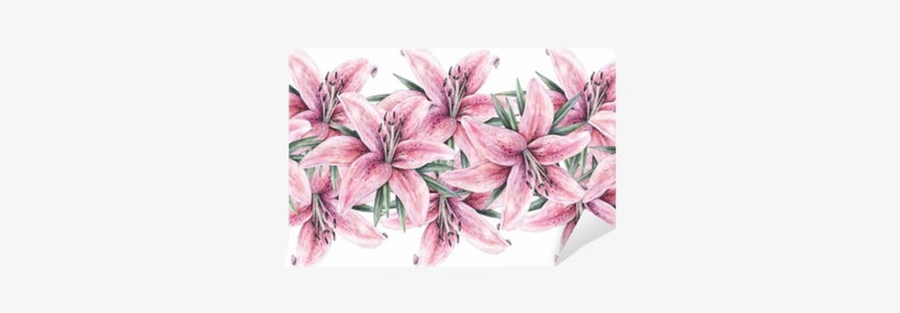 Pink Lily Flowers Isolated On White Background - Lily, transparent png