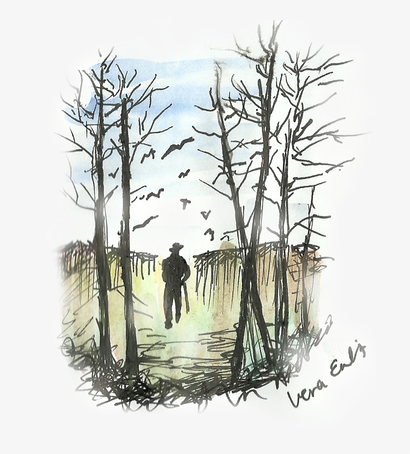 A Research Project That Has Got It Roots From "no, - Birch, transparent png