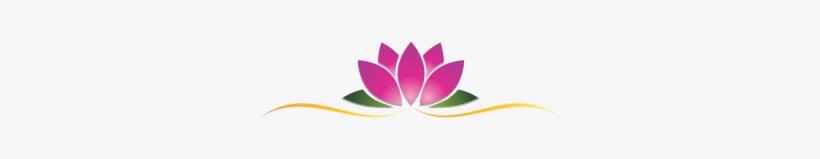 Drawn Lotus Rose - Vector, transparent png