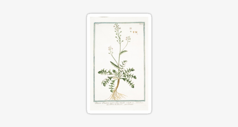 The Works Of Classical Illustration For Science And - Illustration, transparent png
